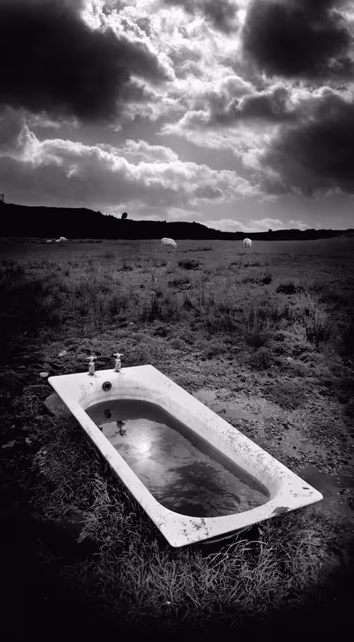 Item #40160686583094733528677484039903516258611509642019211679321071602405723865089 Media