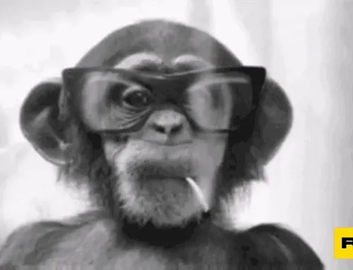 82910634968234971591690507859221112527609080074676685527709326080003880779777