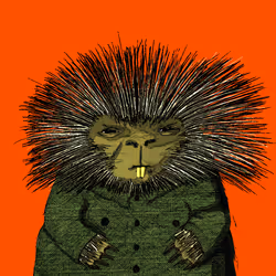 62613911586056240347546851974550079964524534582261086920828948525318464864257