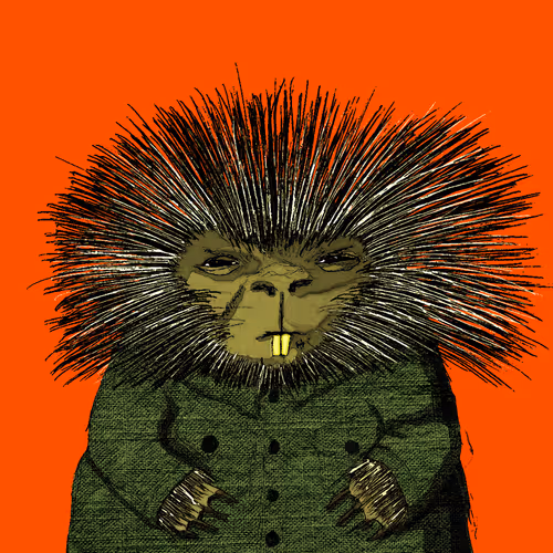 62613911586056240347546851974550079964524534582261086920828948525318464864257