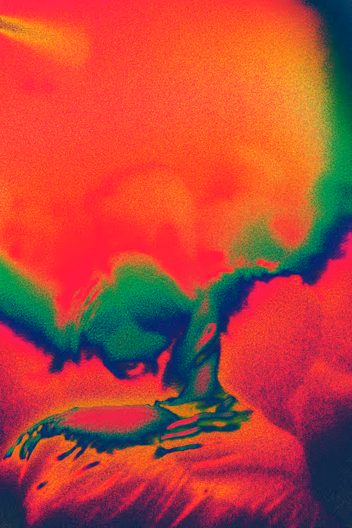 Item #66441873994140045921999615283650104973925355742064477402839904768723817332737 Media