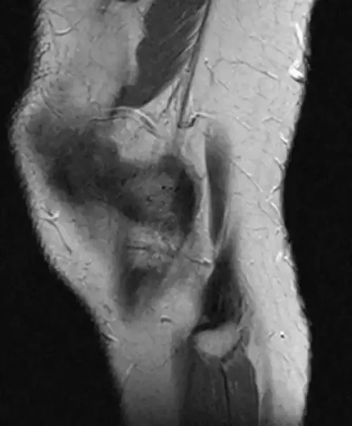 Item #11780915356901891937150191052604117223978980698243640119023280894865169186817 Media