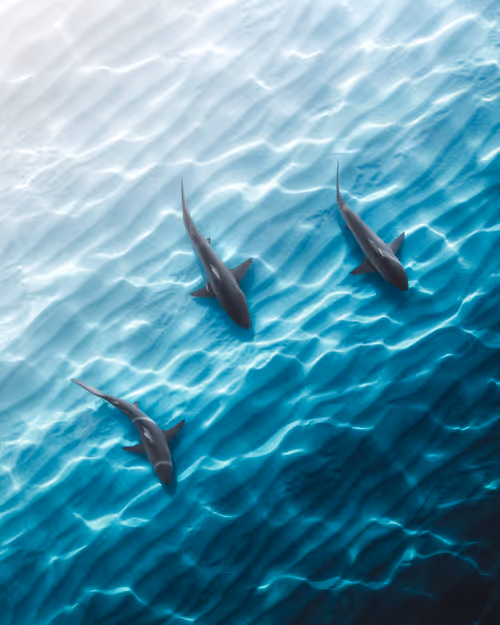 Item #83054766924673444604816267722836446190314772138657067753201581494723263070209 Media