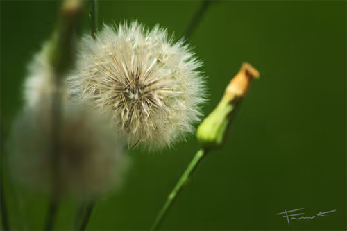 Item #100748379412919059267110879785057129888508222288536348751201759395267292954625 Media