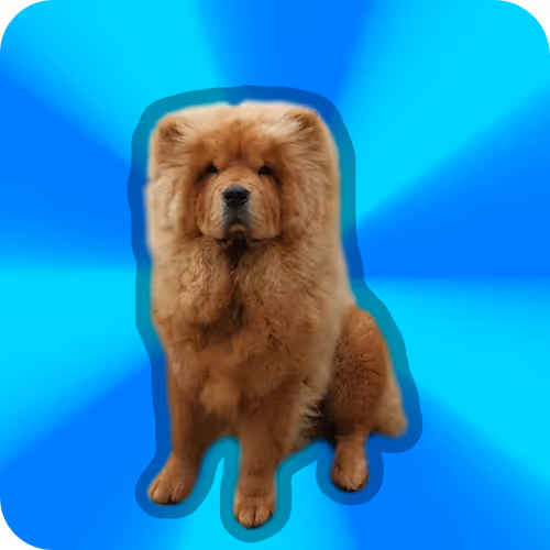 Item #18069411133127541891764540209837632150727605560921678338142275890712464588801 Media