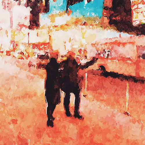 36916443441296191010163931393746075197141775630789565953388279898146808528897