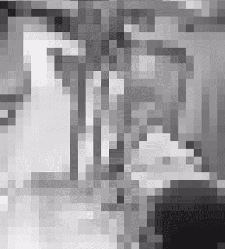 Another White