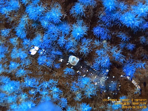 Item #80965803268169370603932631570667161375508893671094224909166964164495830679553 Media