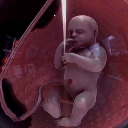 Baby horror