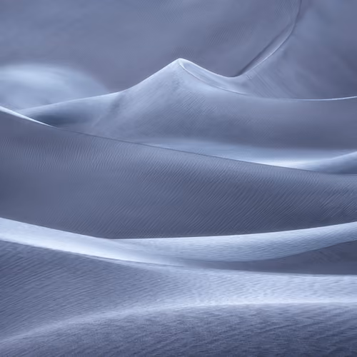 Mojave Winds #18 - Silver Surf