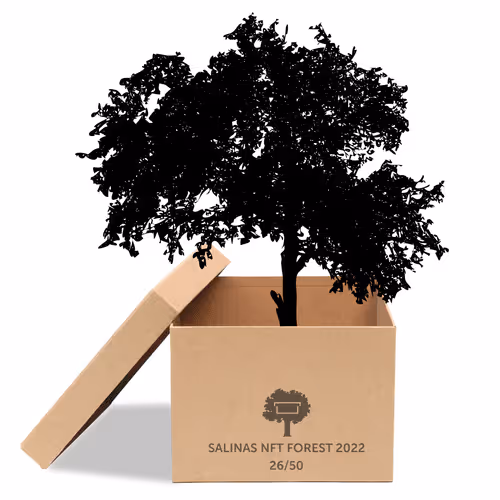 Item #63532776318757439562276927313719991273687356279339277108967620984919954554881 Media