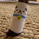 Cat Sock NFT