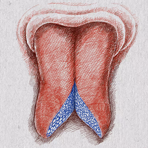 Haningminiorgans