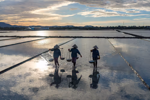 Item #44380994338133063636427405274069008736849147253072084515634940327200164937729 Media