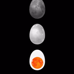 78158401702472350823093113255245789463438705769257444839845420732691941163009