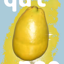 67783958980344062950130156977261207407070005952059443155167400762715219689599