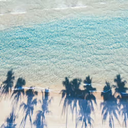 Tropicool #5