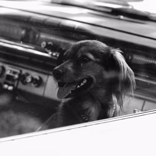 103869953884735727563221393256320645863605690120870363676987596976368100835329