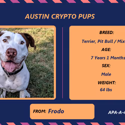 17951378556605612276483806045649535824451571419947225201384628550234407960577