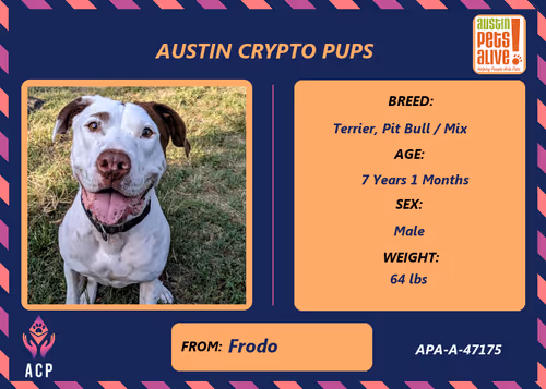 Item #17951378556605612276483806045649535824451571419947225201384628550234407960577 Media