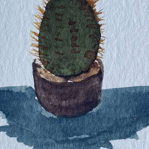 cacto (5)