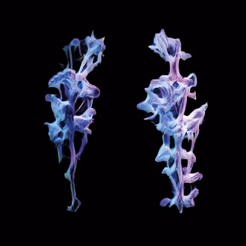 Diatomorigins