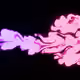 66089611363736725488091970079147084943367739158366096997702030978385352589313