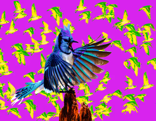 Item #43491420902550312144531220926816905712993913089726861711992935517472962904065 Media