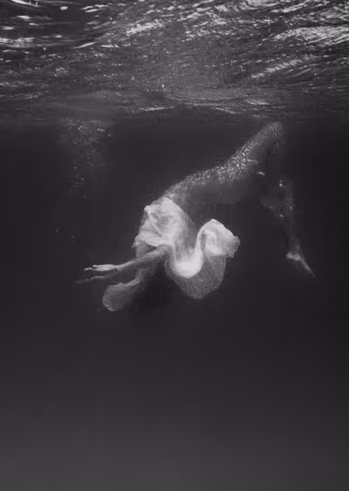 Item #101347158456169041509888391398522531772637997627975062421449352604028724314113 Media