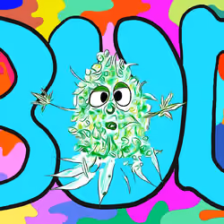 Bud 7