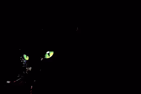 23538819986925566434507765811444276093104658907602947149672917188776300642305