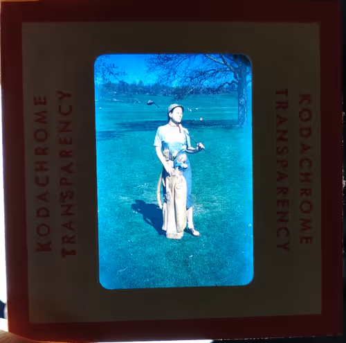 Item #2953591008869991525479195481978449020908380136781448361596082849317098881025 Media