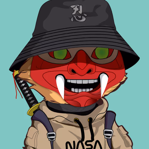 Raccoon-114