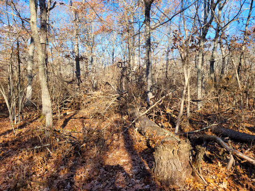 Item #34085441569699423005310991372941828806155687762378495952169943195576801689601 Media