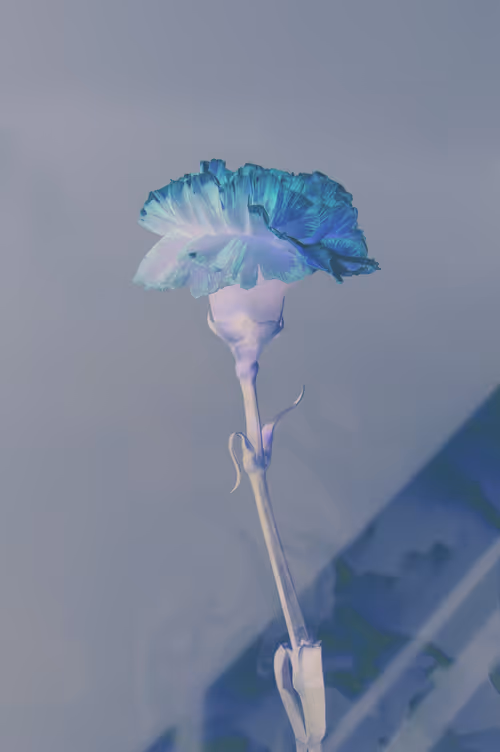 Item #98647933825971538167014356708832577938829494808882293034315128152902957268993 Media