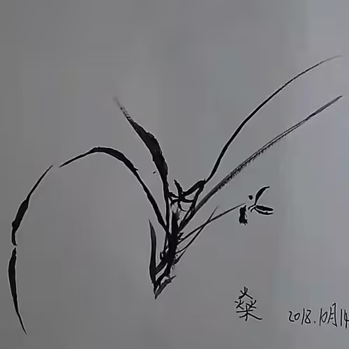 Untitled Collection 270554537
