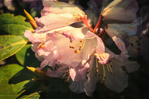 Item #1448819722811812157553440872911488319417736624981688873626406913425509711873 Media