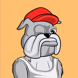 23005389916031419495497068831589288009900632785309905146382184418623514214401