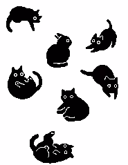 Item #93595123335427177115035649409809426481929941394150646237552609225388140265473 Media