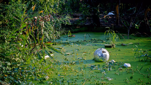 Singles by Mobius Jackson