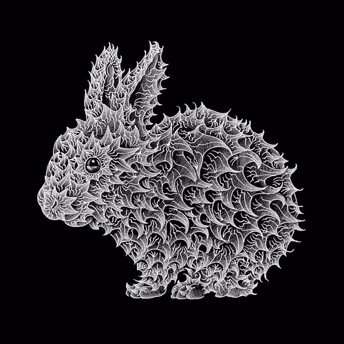 Item #37539778420477676297304907915673518061018294765430672805919210020651545919489 Media