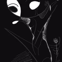 Cat in the shade