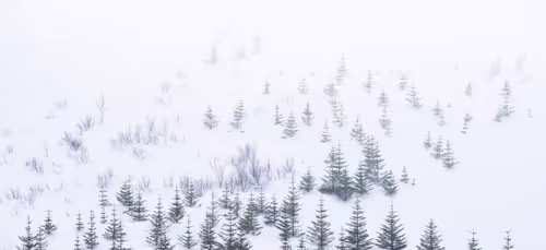 Item #55403408665547609189092792610750107765895786822855229620827418937164738592769 Media