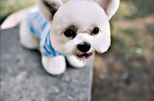 Item #21607923784025543658024067331009769919395041958272689574271021137554063753217 Media