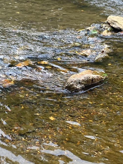 Item #42060316443796044655874448796589109731243459605113798624793464044872332738561 Media