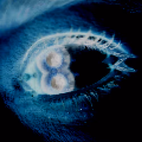 22261332165349441295163190501737457577187483114464994700747766221391165128705