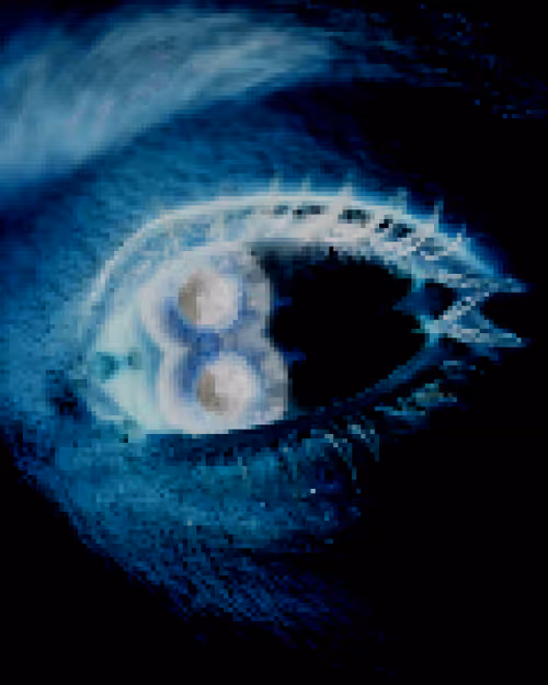 Item #22261332165349441295163190501737457577187483114464994700747766221391165128705 Media