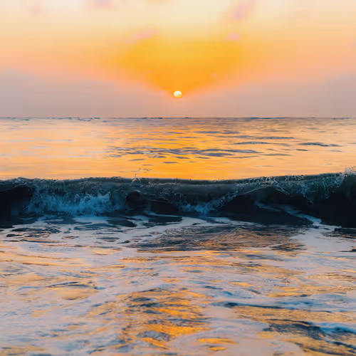 Tales From The Ocean 4OrOJ1Vtlr