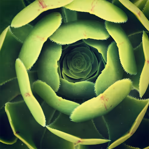 Item #17170766491500085813784528329408520152162080499931486046086089724124450521089 Media