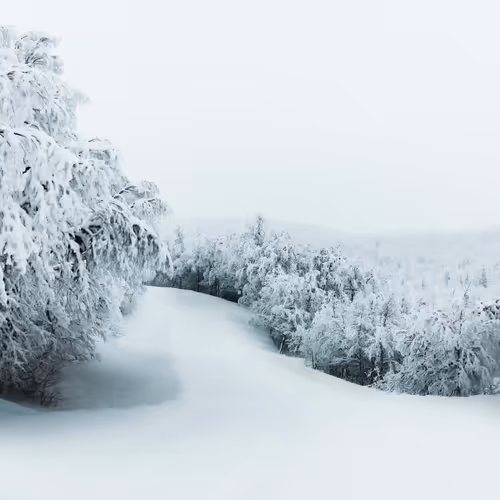 Frozensilence S3h2ODH2c6